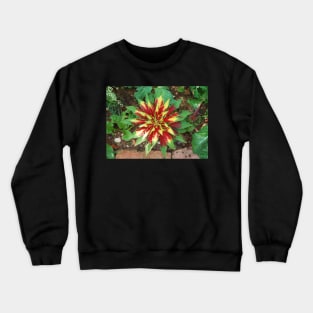 Amaranthus Tricolor Crewneck Sweatshirt